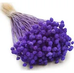 mech-mech.cz Sušené Botao - (Amarelinho) - fialové