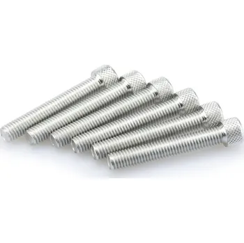 Motodoplněk Šrouby PUIG ANODIZED 0524P stříbrná M8 x 50mm (6ks)