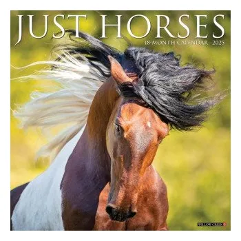 Kalendář Horses 2026 12 X 12 Wall Calendar (EN)
