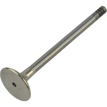 Ventil motoru Výfukový ventil FORD GALAXY I , SCORPIO II , TRANSIT - 2.3 16V - AE (FORD 6576229 91XM6505AB)