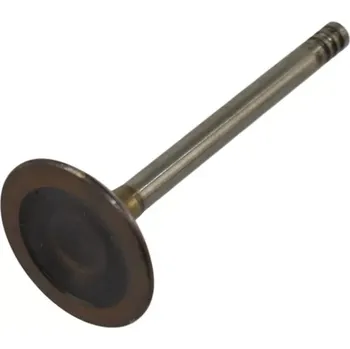 Ventil motoru Sací ventil SEAT - VW GOLF III IV , PASSAT B3 B4 , POLO , VENTO - 1.8 (VAG 048109601E)