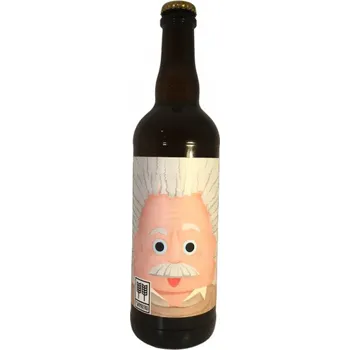 Pivo Pivovar Twinberg Albert 10° 0,7l Twinberg