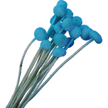 umělá květina Florservice Craspedia 20 ks modrá