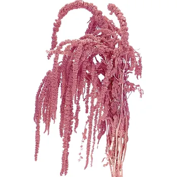 umělá květina Florservice amaranthus svazek 5 ks růžová