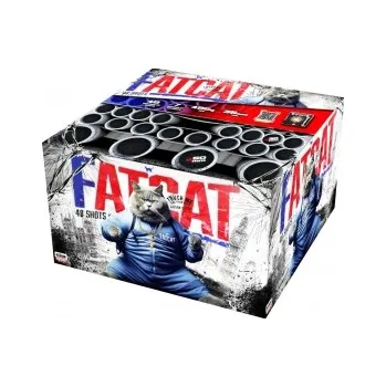 Zábavní pyrotechnika Kompaktní ohňostroj Fat cat 48 ran