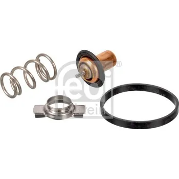 Těsnění motoru Termostat, chladivo FEBI BILSTEIN 173111