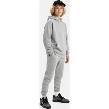 Dámská obuv Sneakersy DC Shoes EO-PURE DC01783003 Šedá 36