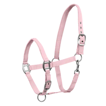 Vybavení pro koně Waldhausen Ohlávka Satin Barva: Petrolejová, Velikost: Full