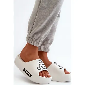 Dámské žabky Pantofle model 198419 Step in style 40/41