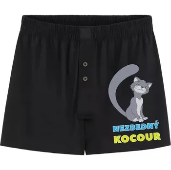 Pánské spodní prádlo Trenýrky - Nezbedný kocour - L černá