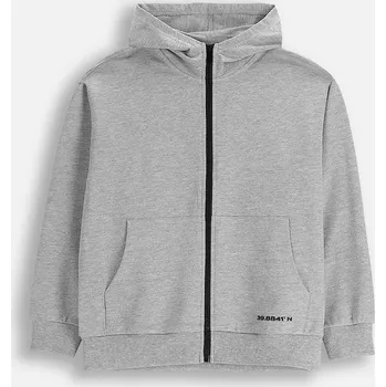 Chlapecká mikina Dětská bavlněná mikina Coccodrillo šedá barva, s kapucí, s potiskem, EVERYDAY BOY A ZC5132401VBA 09X, vel. 146