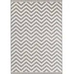 Hanse Home Kusový koberec Twin Supreme 103432 Palma grey creme Rozměry koberců: 200x290