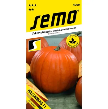 Zahrada Semo Tykev obecná - Yellowboys F1 (plazivá, pro Halloween)