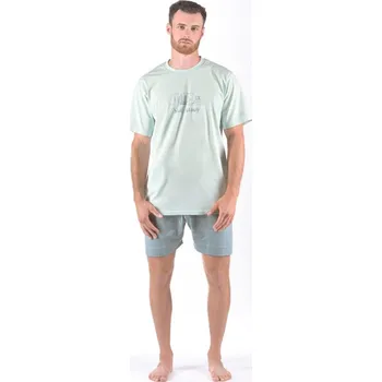 Pánské pyžamo Pánské pyžamo krátké pánské, šité, s potiskem 79174P - sv. šedá měsíc - L