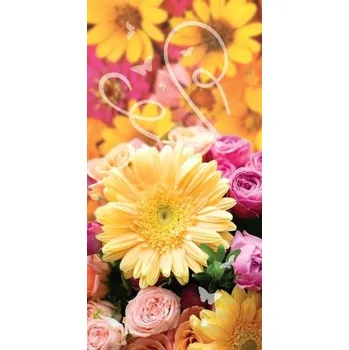 Set školních potřeb Karnet DL Uniwersalny (pl, 2000, Plastový obal, eMKa Kartki)