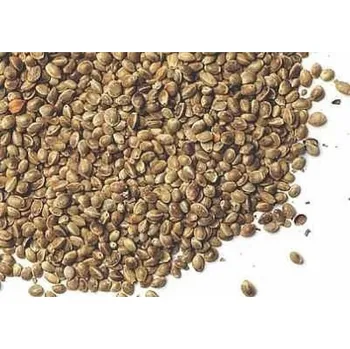 Návnadová surovina Golden Fish Konopí celé - 0,5kg