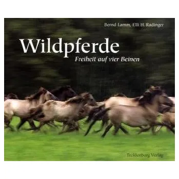 Cestování Wildpferde - Lamm, Bernd