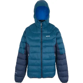 Pánská bunda Regatta Hooded Dalent Velikost: XXL / Barva: modrá