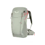 Salewa Batoh Turistika Alp Trainer 20 WS shadow