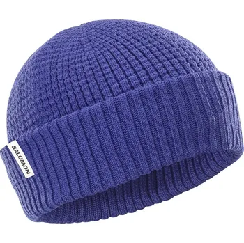 Čepice Salomon Čepice DOCKER BEANIE liberty