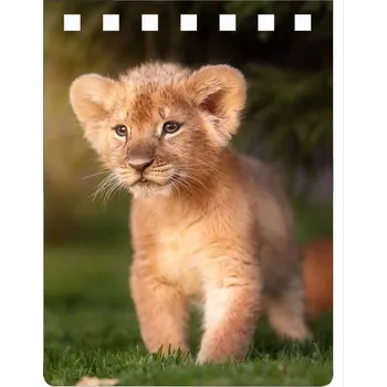 Lvíček notebook A7