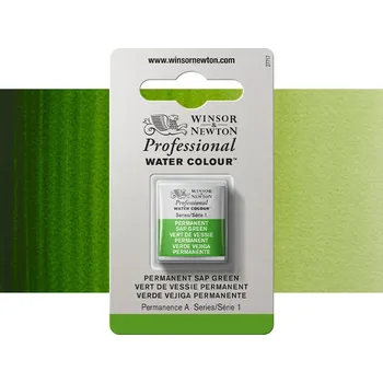Vodová barva Akvarelová barva Winsor & Newton Professional, půlpánvička - Permanent Sap Green