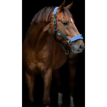 Catago Ohlávka Grand FIR-Tech CATAGO, crown blue COB