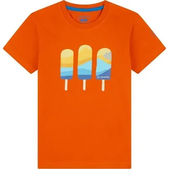 La Sportiva Icy mountains K