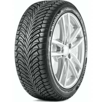 Osobní pneu 225/55R19 99W, Fortune, FITCLIME FSR401
