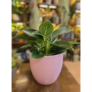 Keramický obal růžový na pr. 14cm