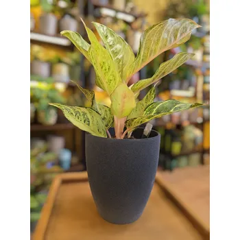 Obal na květináč Obal černý hrubý povrch na pr. 12cm