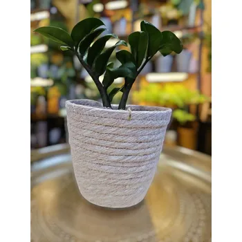 Obal na květináč ⌀ 10 cm z mořské trávy světle růžový Simona