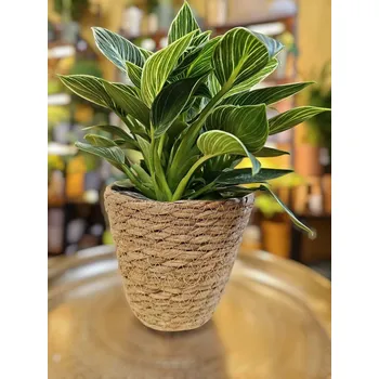 Obal na květináč ⌀ 12 cm z mořské trávy Tereza