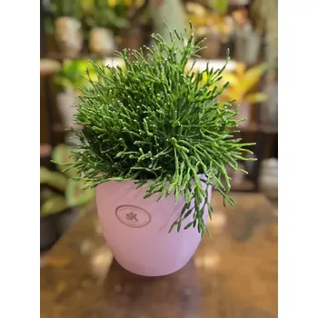 Keramický obal růžový na pr. 12cm