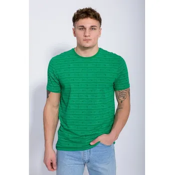 Pánské tričko Tričko krátký rukáv HRACH zelená L