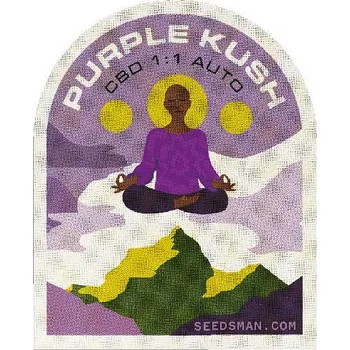 Semeno Seedsman - Purple Kush CBD 1:1 Auto 1 ks