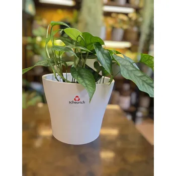 Keramický obal bílý na pr. 13cm