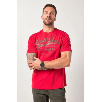 Pánské tričko JP1880, Plus size Tričko JP1880, krátké rukávy, potisk na hrudi, do 8XL pro plnoštíhlé nadměrná velikost, 842395530-1455, červený, 6XL, Plus size oblečení, Oblečení pro vysoké muže, Nadměrné velikosti, Oblečení pro plnoštíhlé.