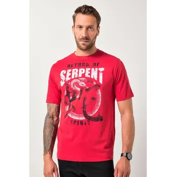 Pánské tričko JP1880, Plus size Tričko JP1880, krátké rukávy, potisk na hrudi, do 8XL pro plnoštíhlé nadměrná velikost, 841893550-1455, červený, 6XL, Plus size oblečení, Oblečení pro vysoké muže, Nadměrné velikosti, Oblečení pro plnoštíhlé.