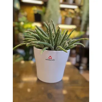 Keramický obal bílý na pr. 12cm