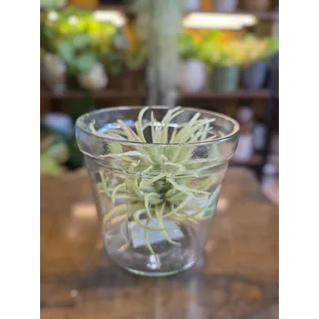 Skleněný obal na pr. 9,5cm