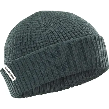 Čepice Salomon Čepice DOCKER BEANIE green gables