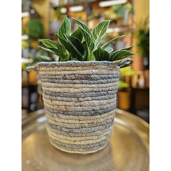 Obal na květináč ⌀ 16 cm z mořské trávy proužkatý s uchy Ema