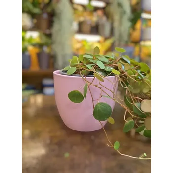 Keramický obal růžový na pr. 10cm