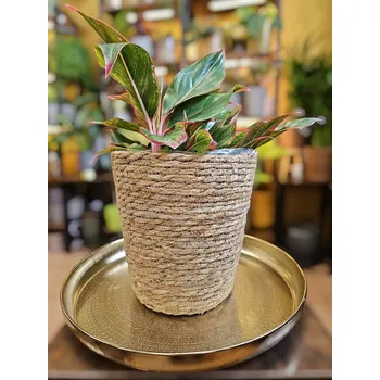 Obal na květináč ⌀ 16 cm z mořské trávy Hana