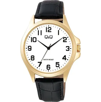Hodinky Q&Q Mens C36A-009PY