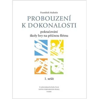 Probouzení k dokonalosti - Pokračování školy hry na příčnou flétnu - František Malotín