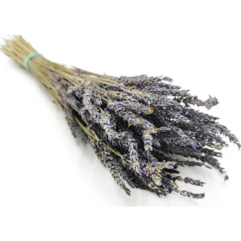 mech-mech.cz Sušená Levandule (Lavandula intermedia) - přírodní