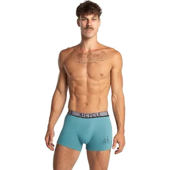 Boxerky Lama boxerky M-1064 SZG A'2 M-2XL černá máta M