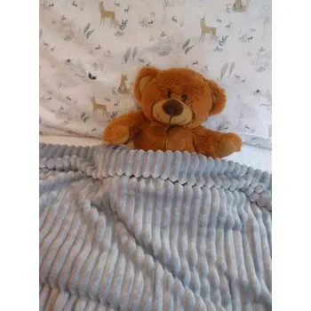 Dětská deka Pro útulný domov Deka minky Šedý proužek ROZMĚR deky: 60 x 70 cm